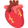 Cardiology